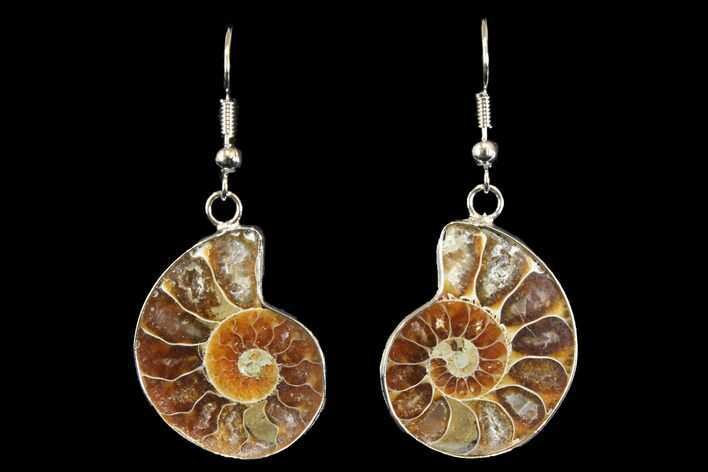 Fossil Ammonite Earrings - Million Years Old #142850